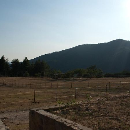 Вилла Agriturismo Le Vigne Монтале Экстерьер фото