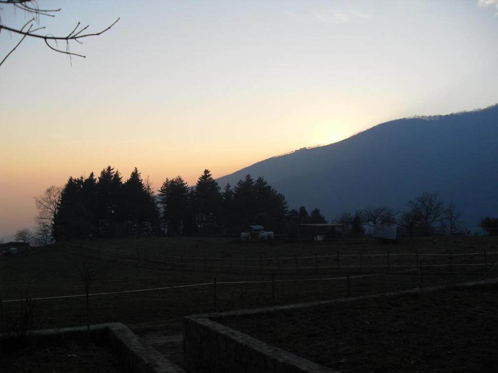 Вилла Agriturismo Le Vigne Монтале Номер фото
