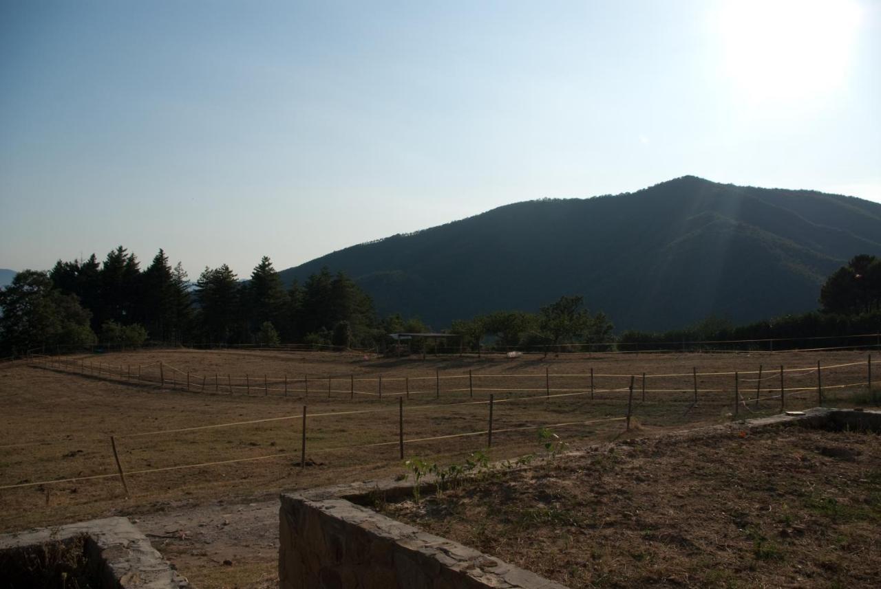 Вилла Agriturismo Le Vigne Монтале Экстерьер фото
